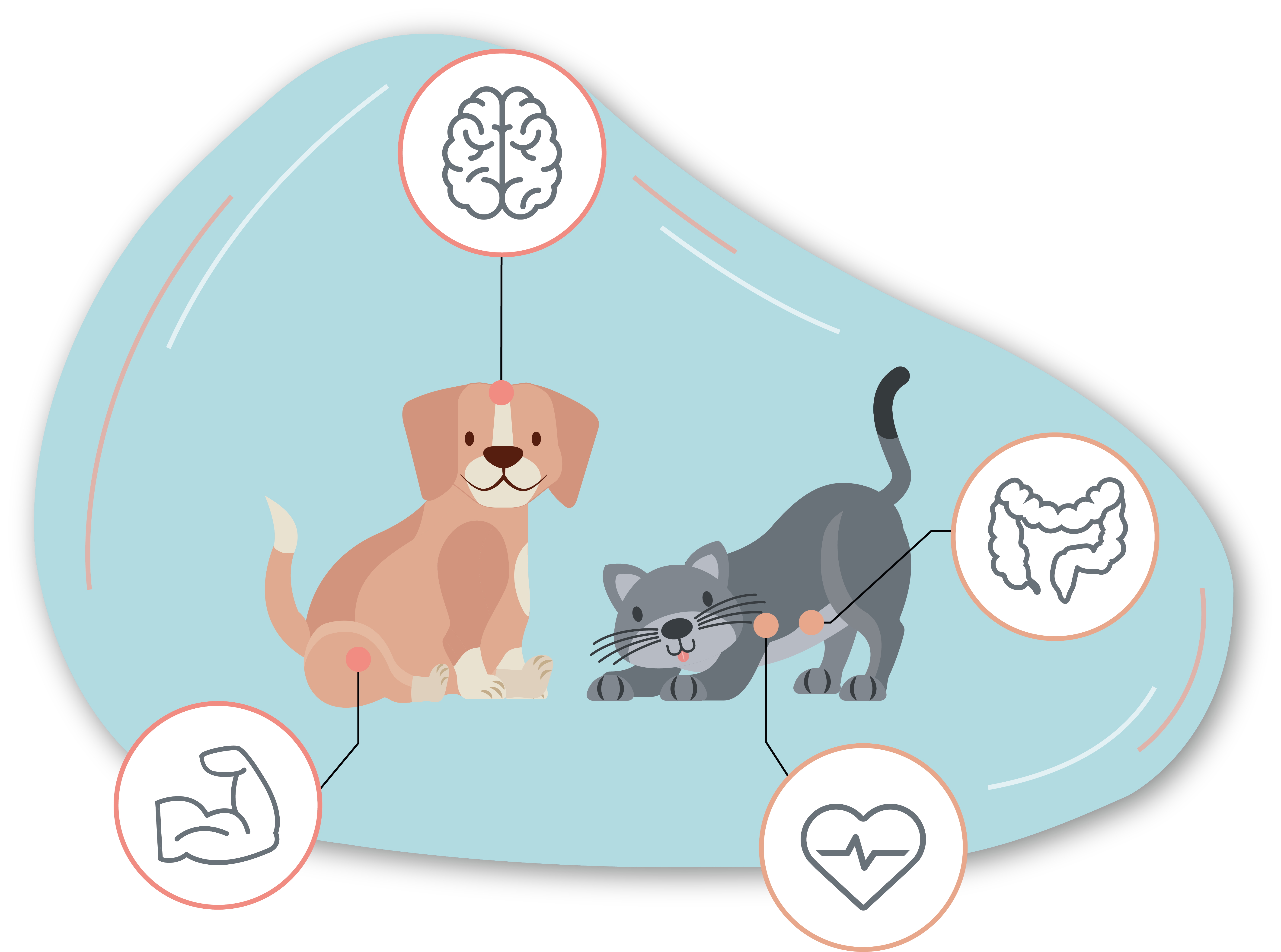 Illustration chien et chat by Hawkcell Illustration chien et chat by Hawkcell