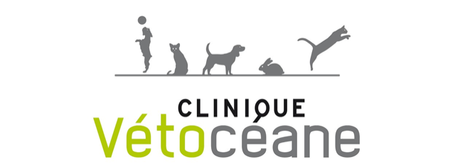 Logo vétéocéane by HawkCell Logo vétocéane by HawkCell