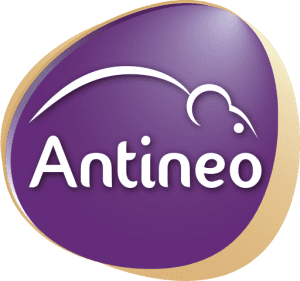 Antinéo logo