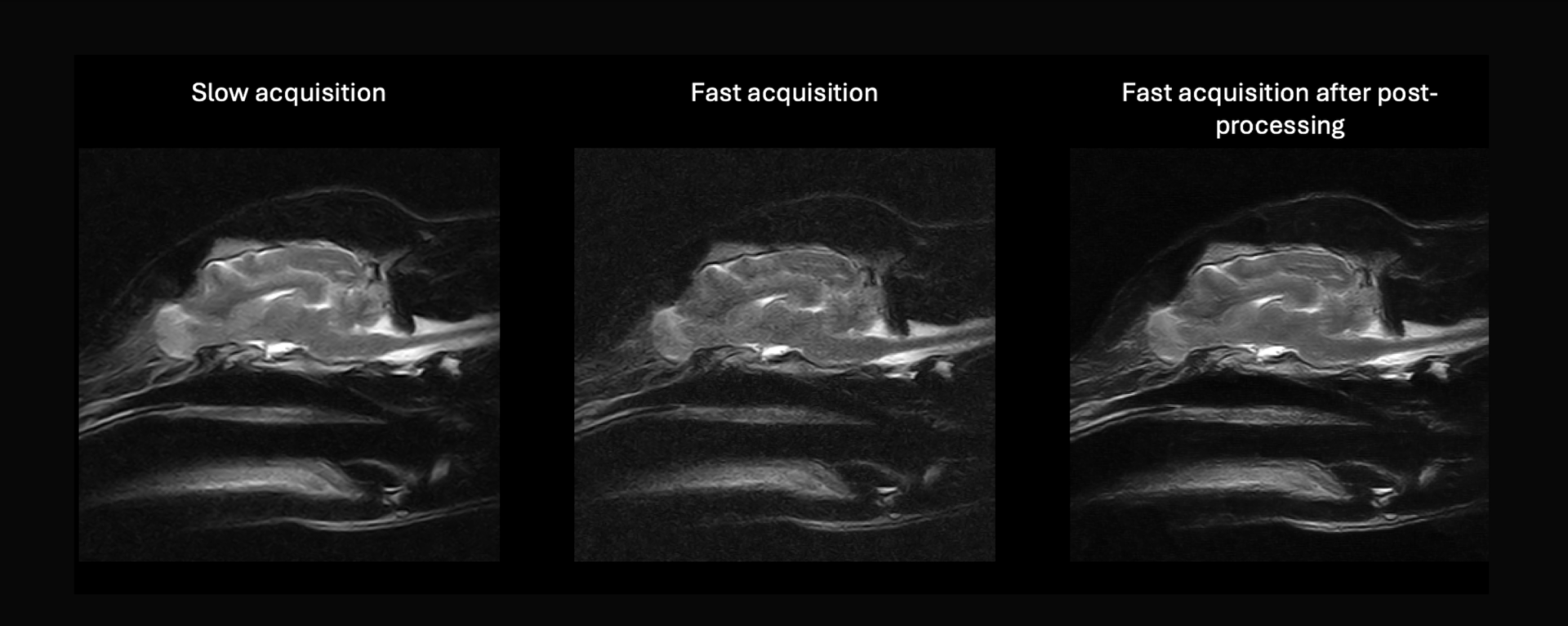 HawkAI: Denoising low-field vet-MR images with deep learning for faster acquisitions