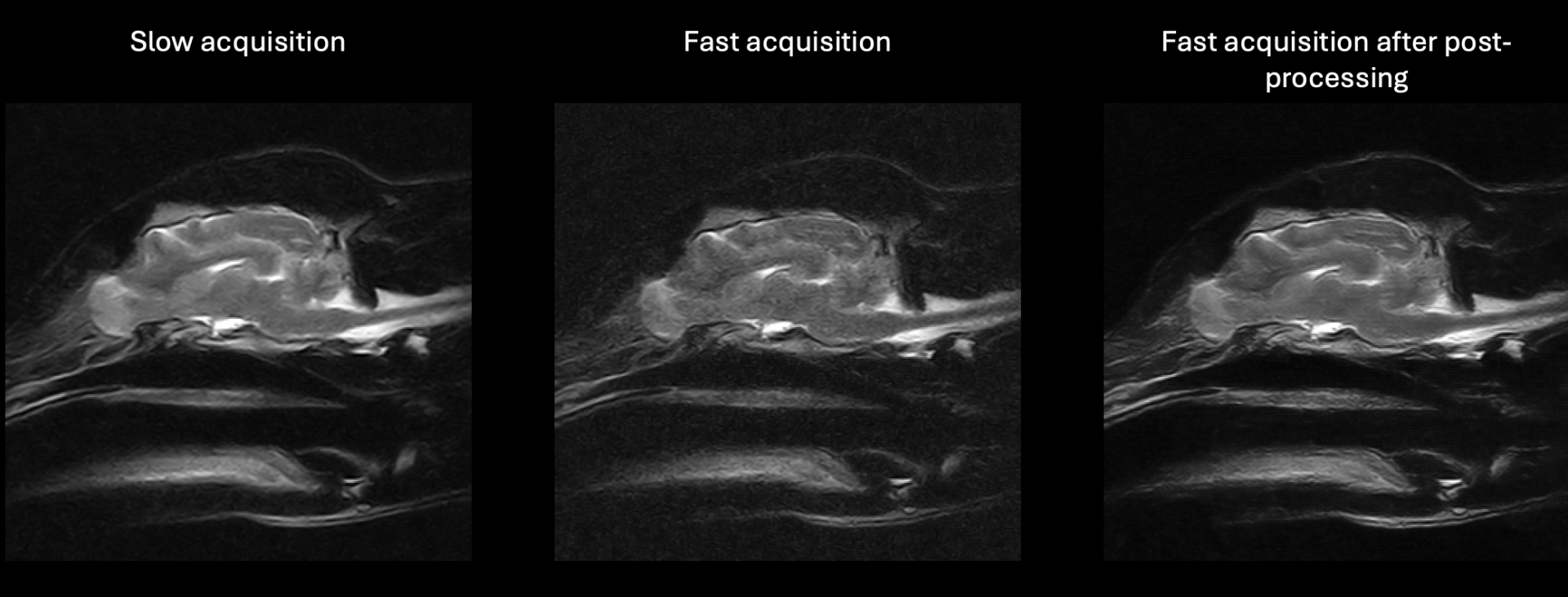 HawkAI: Denoising low-field vet-MR images with deep learning for faster acquisitions
