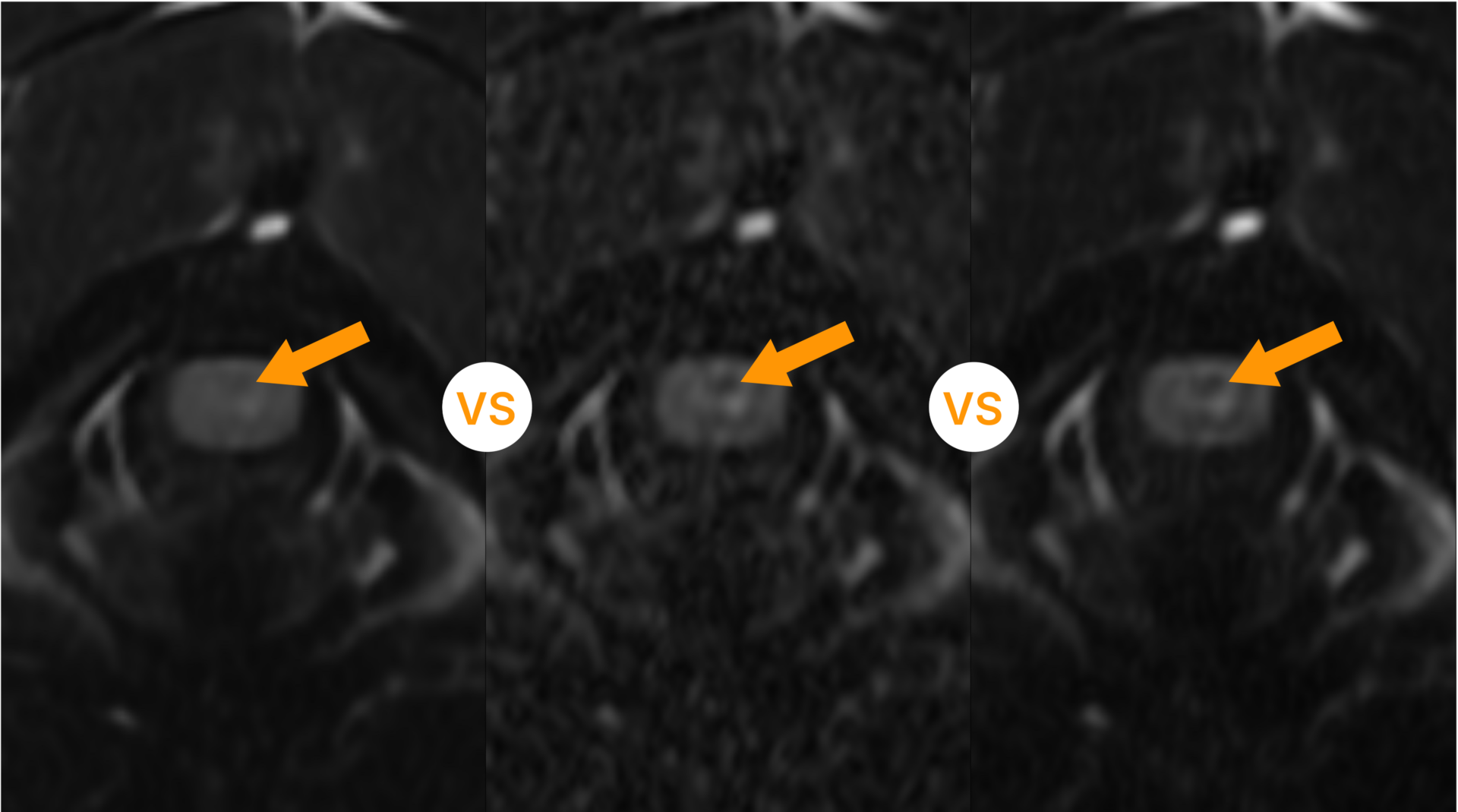 When AI is trained on animal data