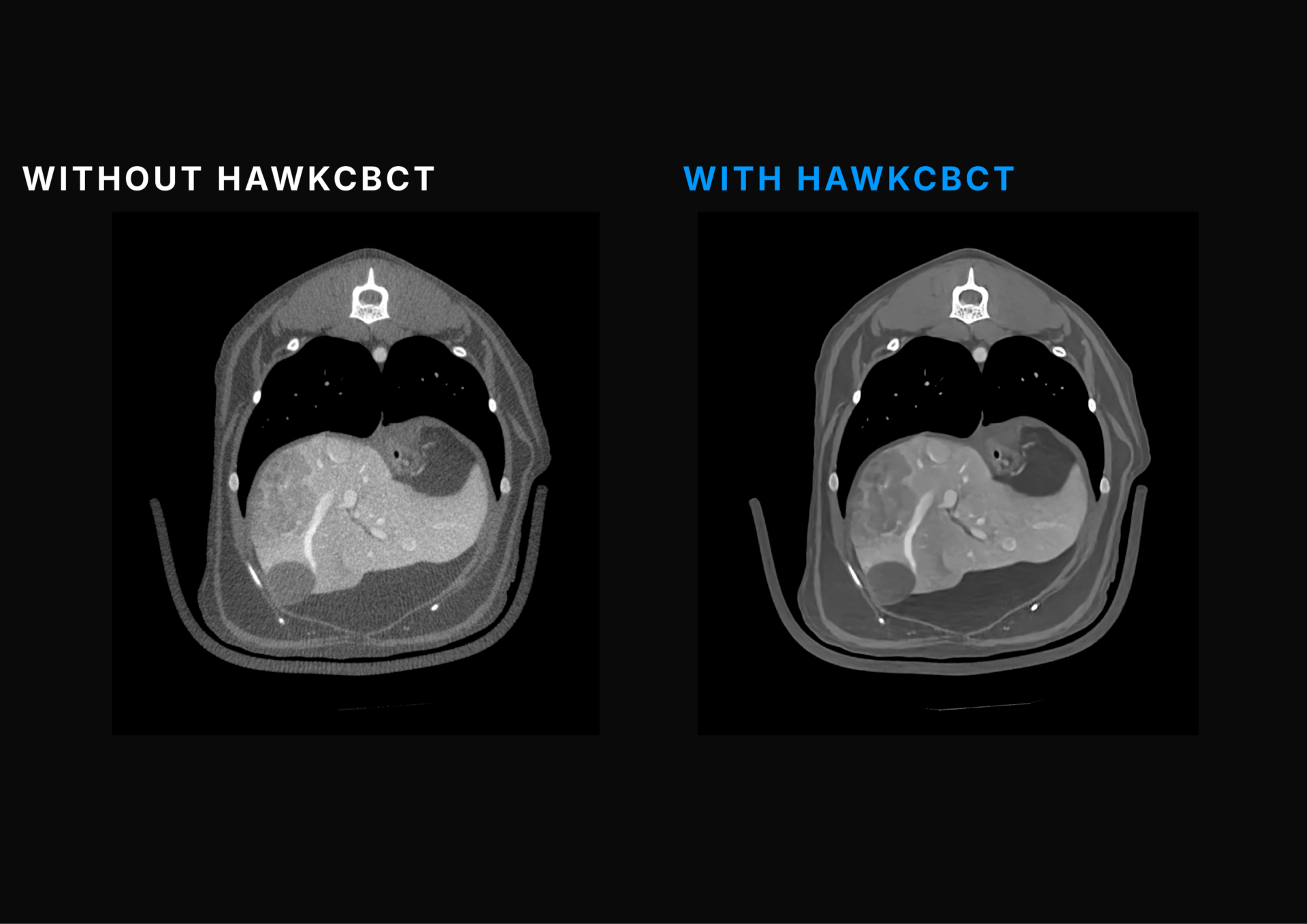 TEMPLATE PHOTO HAWKCBCT#1