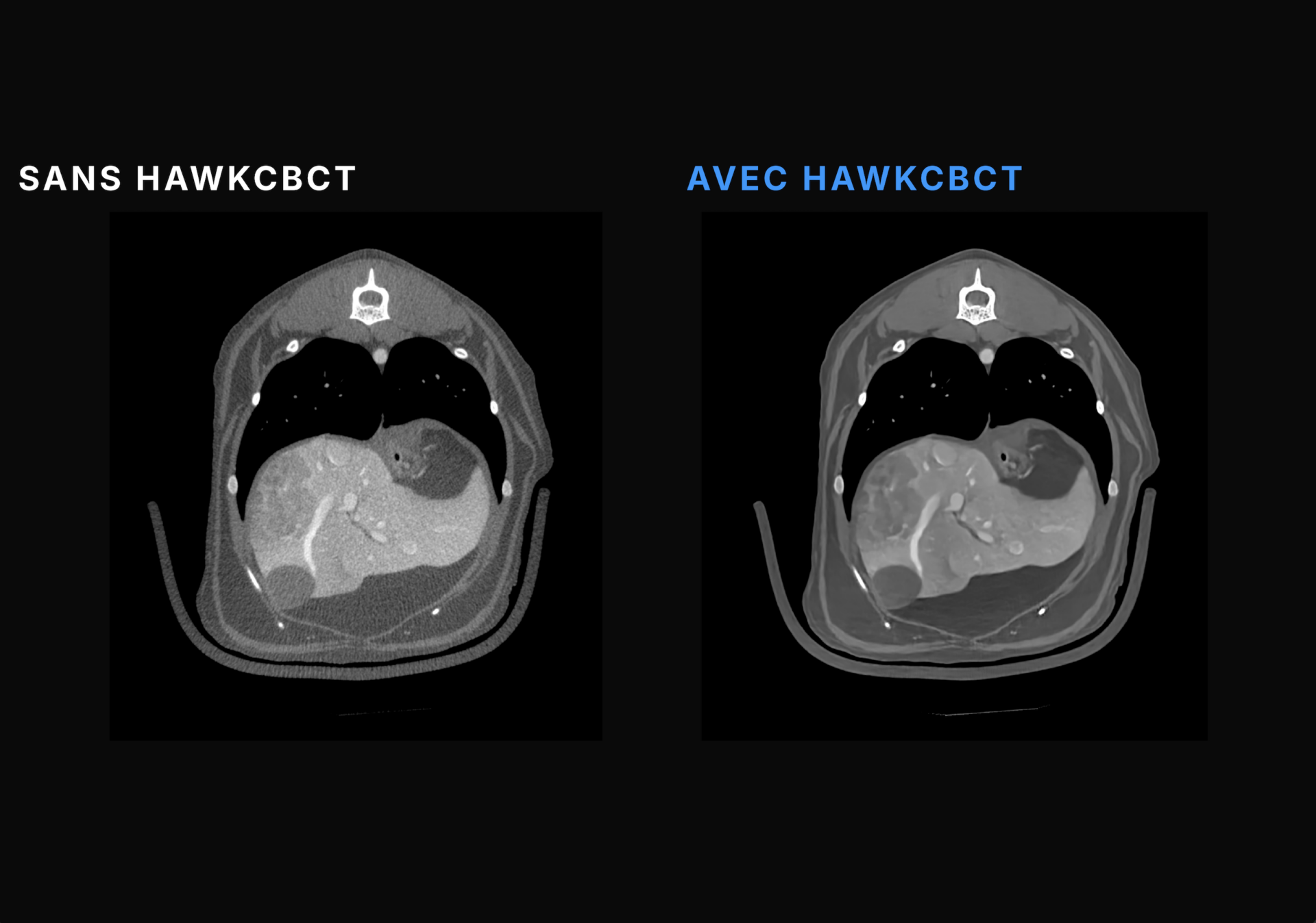 TEMPLATE PHOTO HAWKCBCTFR#1